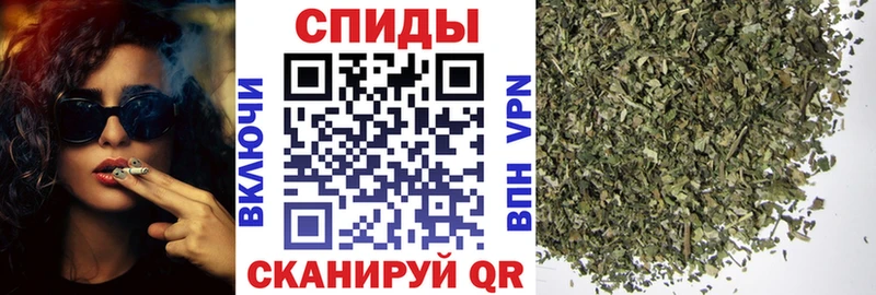 Бутират буратино  hydra ссылки  Куртамыш 
