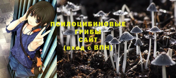 синтетический гашиш Алексин