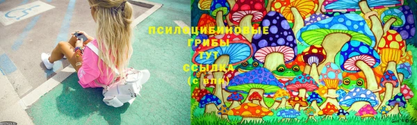 ALPHA-PVP Алексеевка